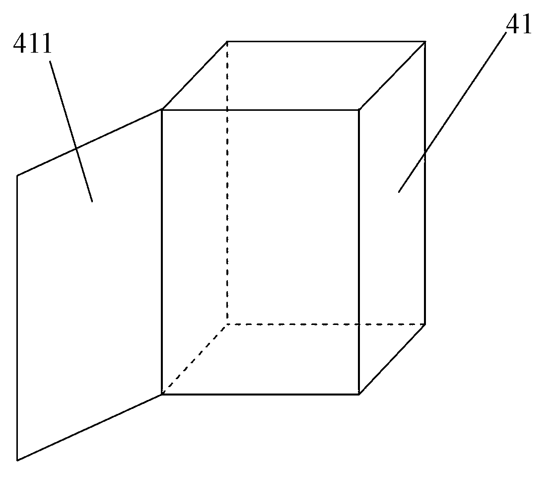 Plant chlorophyll fluorescence detecting device for equalizing irradiation