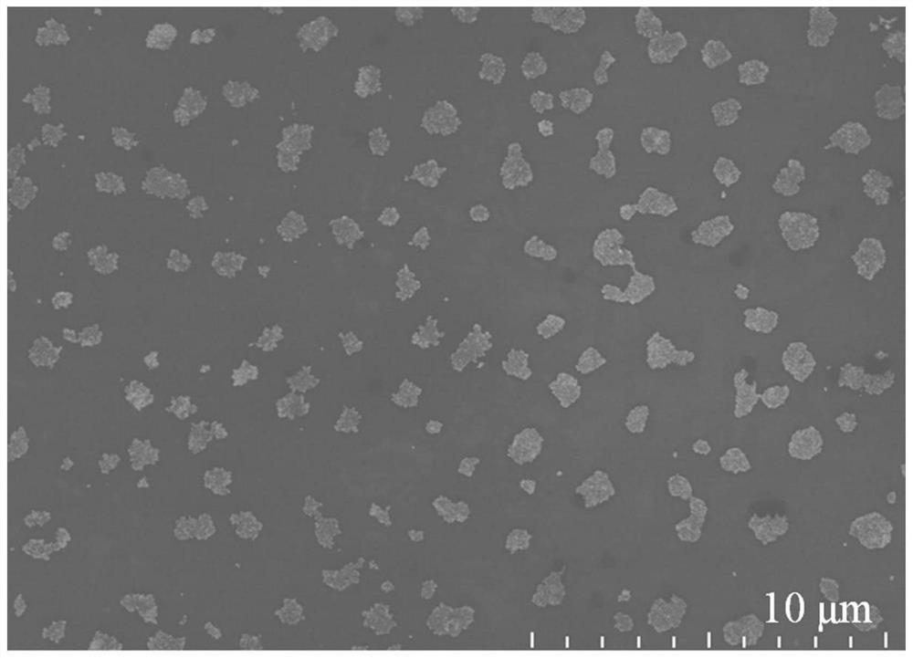 Preparation method of gold nano-particle aggregate material