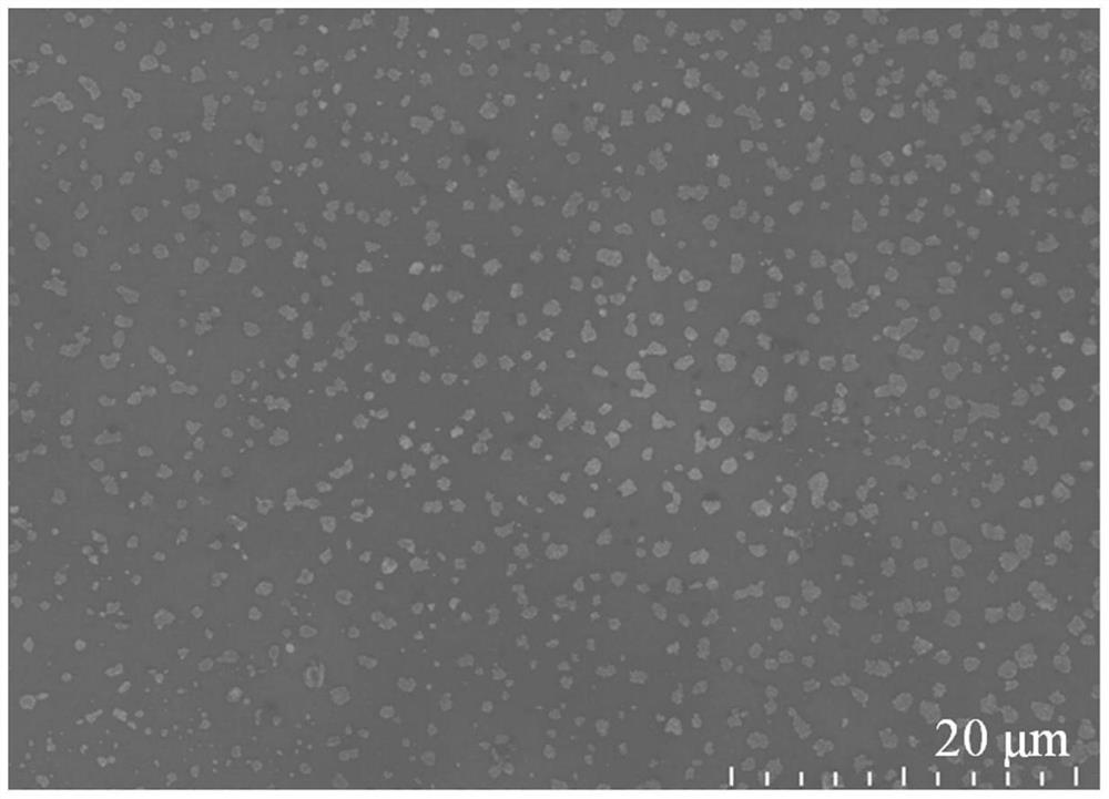 Preparation method of gold nano-particle aggregate material