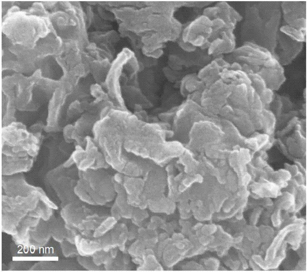 Carbon nitride/titanium dioxide nanosheet array heterojunction photocatalyst and preparation method