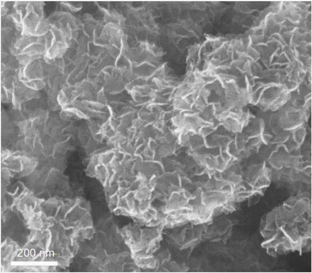 Carbon nitride/titanium dioxide nanosheet array heterojunction photocatalyst and preparation method