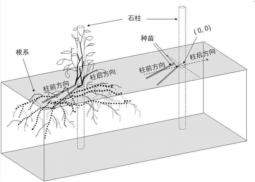 Method for fertilizing pepper