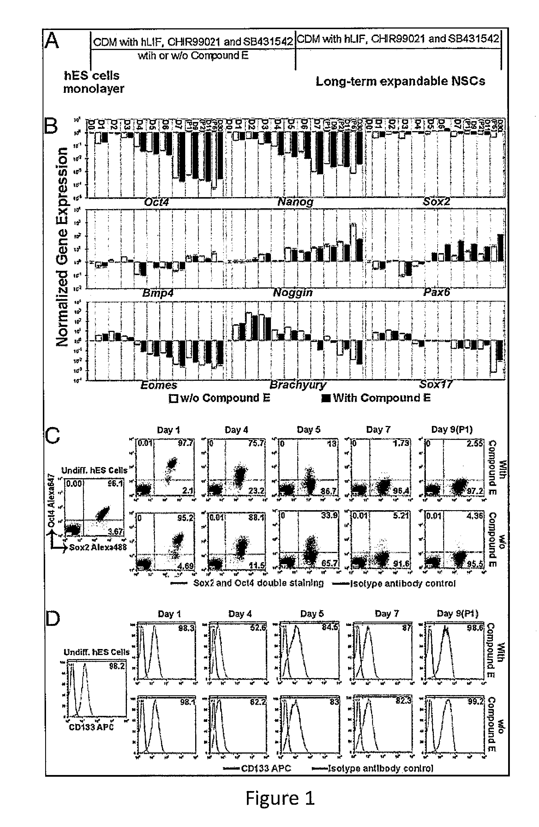 Expandable cell source of neuronal stem cell populations and methods for obtaining and using them