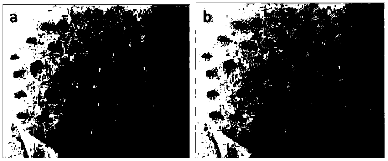 Method for testing and analyzing morphology characteristics of machine-made sand