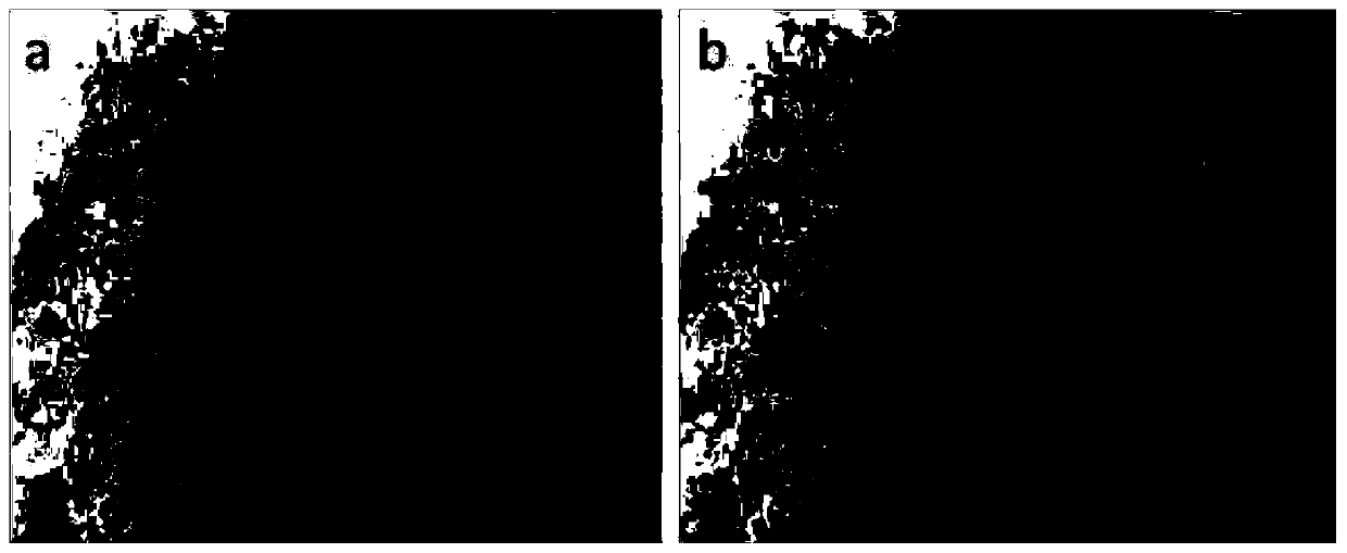 Method for testing and analyzing morphology characteristics of machine-made sand