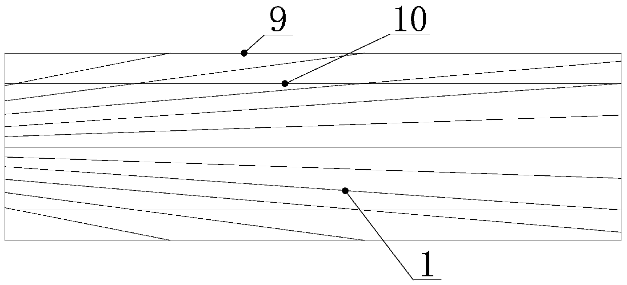 Dense net type advanced supporting system of bored tunnel and construction method