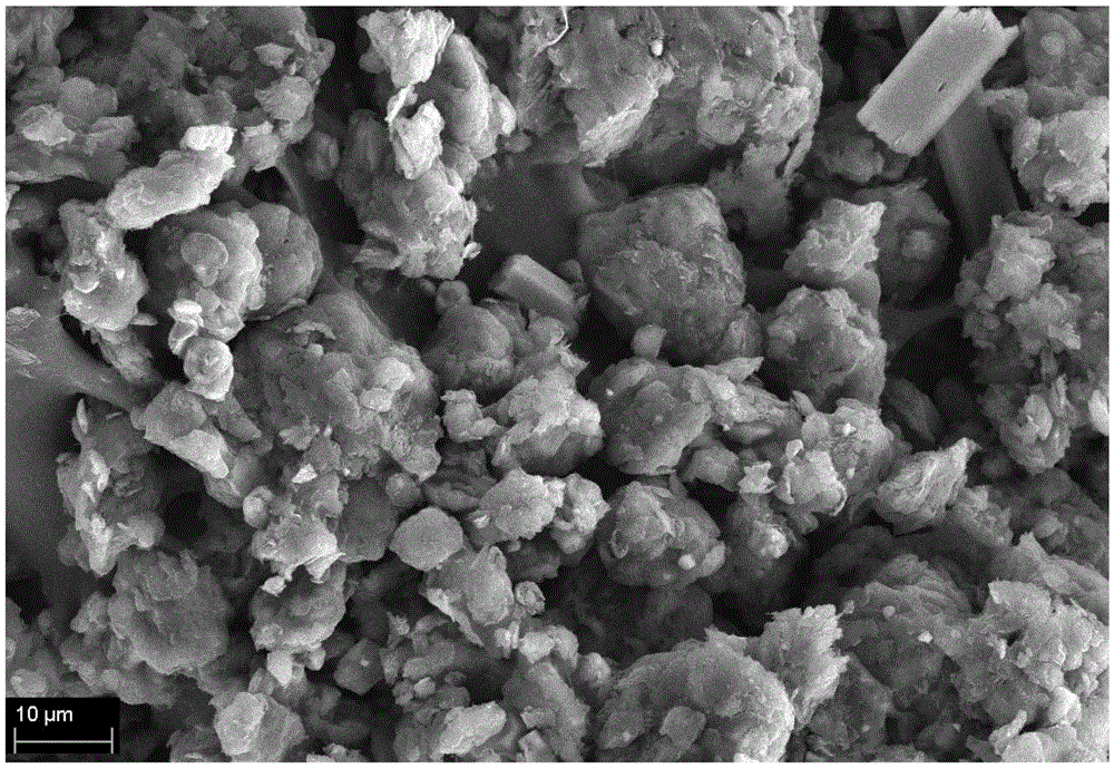 Additive Co3O4-contained lithium-sulfur battery positive electrode material and preparation method