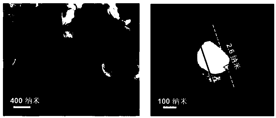 Ultrathin two-dimensional nickel phosphide nano-sheets as well as preparation and application thereof to photocatalytic hydrogen production