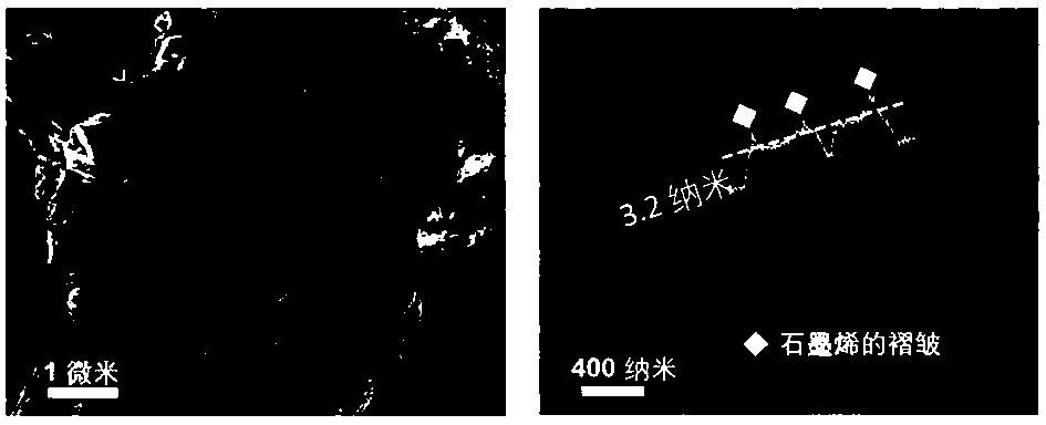 Ultrathin two-dimensional nickel phosphide nano-sheets as well as preparation and application thereof to photocatalytic hydrogen production