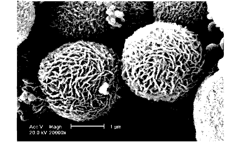 Method for preparing nano-structure aniline-co-pyrrole copolymer microsphere