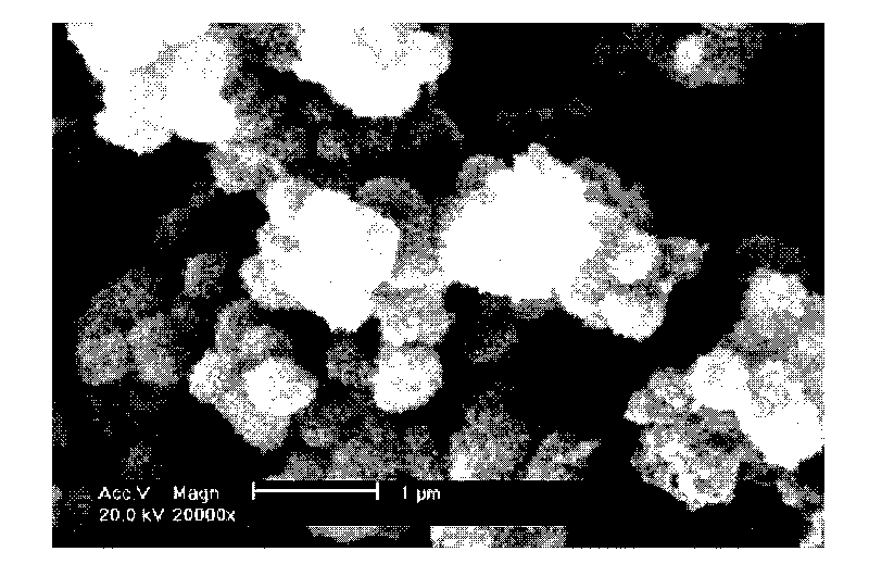 Method for preparing nano-structure aniline-co-pyrrole copolymer microsphere