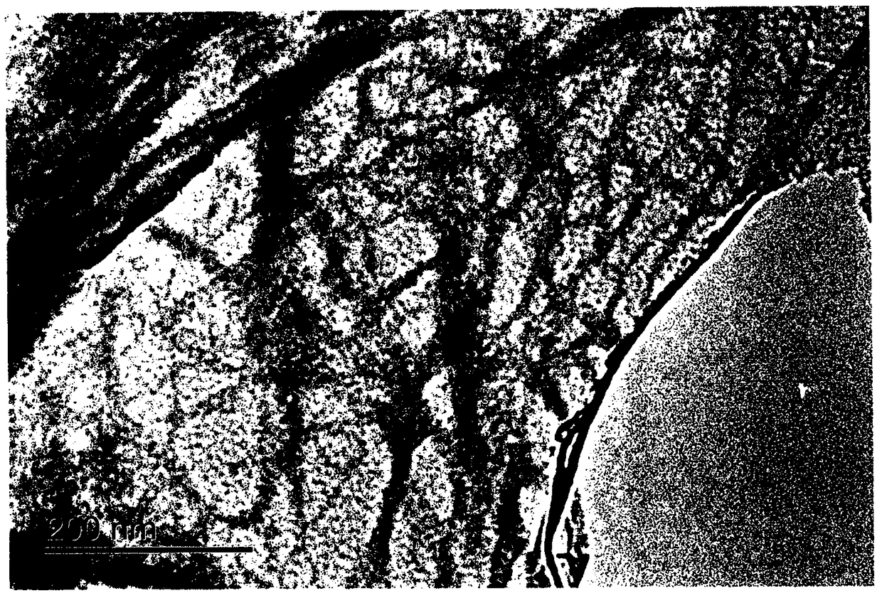 A method for preparing nanocellulose with high efficiency and low energy consumption