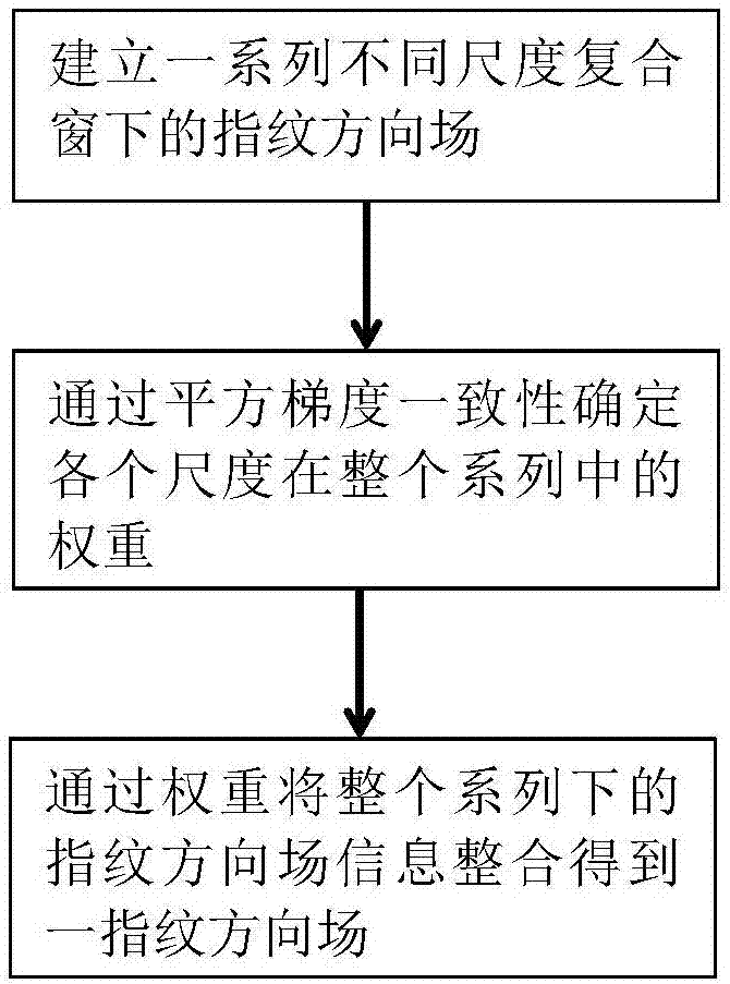 Weighted multi-scale composite window fingerprint orientation field building method and hierarchical smoothing algorithm