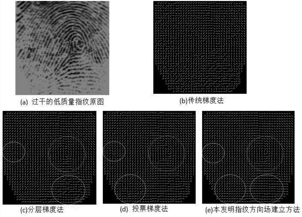 Weighted multi-scale composite window fingerprint orientation field building method and hierarchical smoothing algorithm