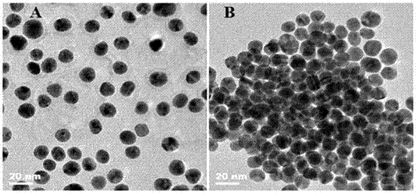 A Colorimetric Sensing Method for Detection of DNA Methyltransferase Activity Based on DNA Strand Displacement Cycle Amplification Technology