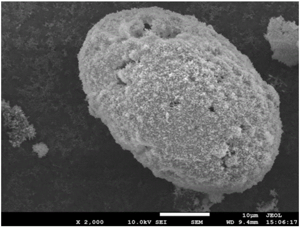 Hollow microsphere molecular sieve and preparation method thereof