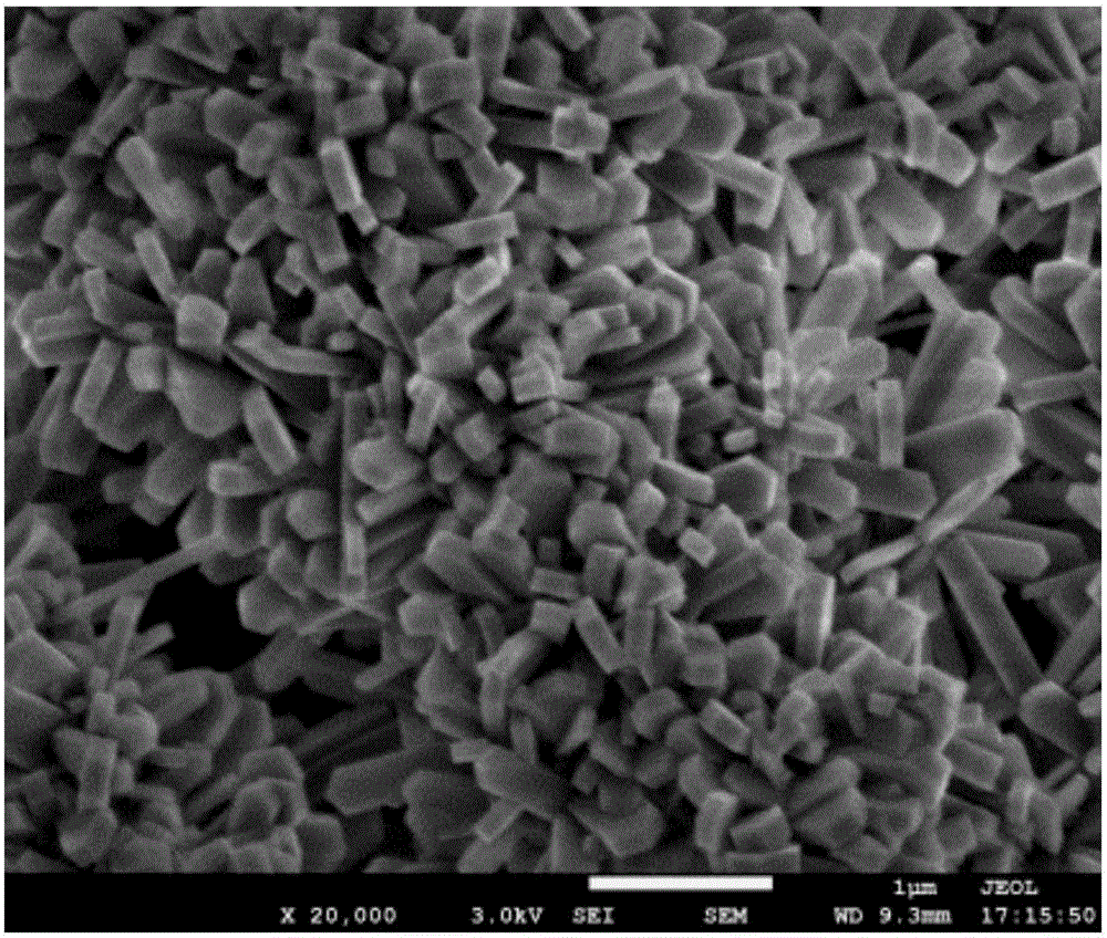 Hollow microsphere molecular sieve and preparation method thereof