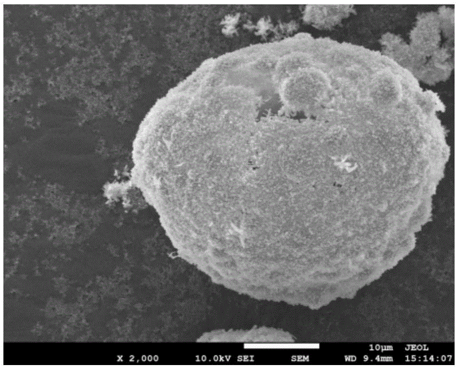 Hollow microsphere molecular sieve and preparation method thereof