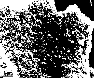 Preparation method of three-dimensional nano porous tin-base alloy for lithium-ion battery negative electrode