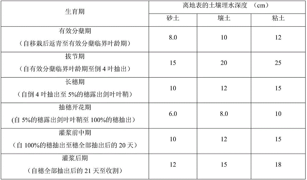 A kind of rice water-saving irrigation method