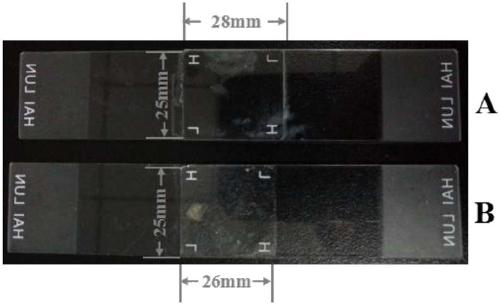 Barnacle glue protein dialysis process and method for acquiring two different types of proteins