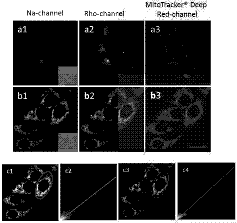 Naphthalimide-based double-signal turn-on formaldehyde fluorescent nano probe intermediate compound, and preparation method and application thereof