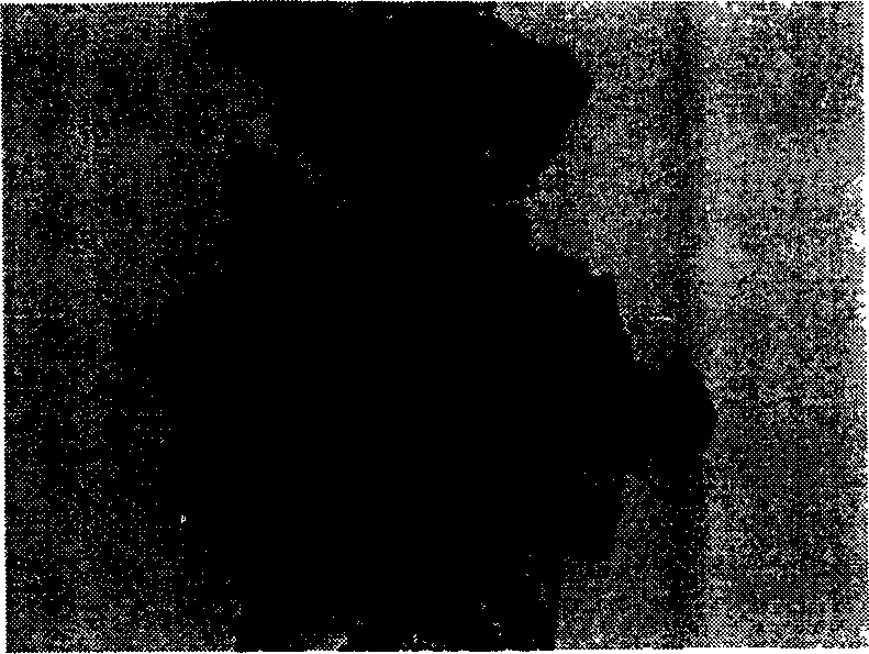 Preparation method of high activity cuprous chloride catalyst used for organic silicon monomer synthesis