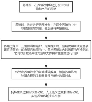 Rice-fish-trionyx-krill symbiotic breeding method and method thereof