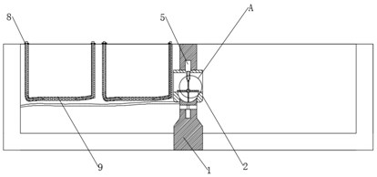 Rice-fish-trionyx-krill symbiotic breeding method and method thereof