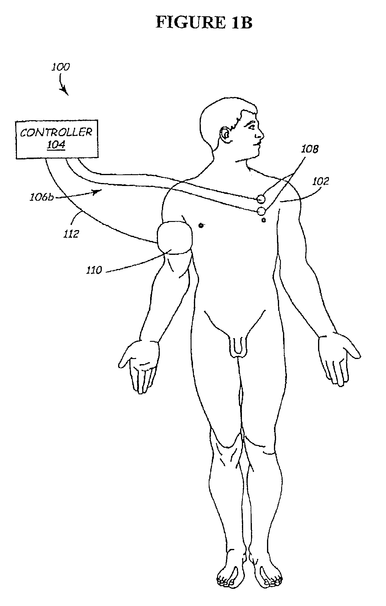 Methods and apparatus for the regulation of hormone release