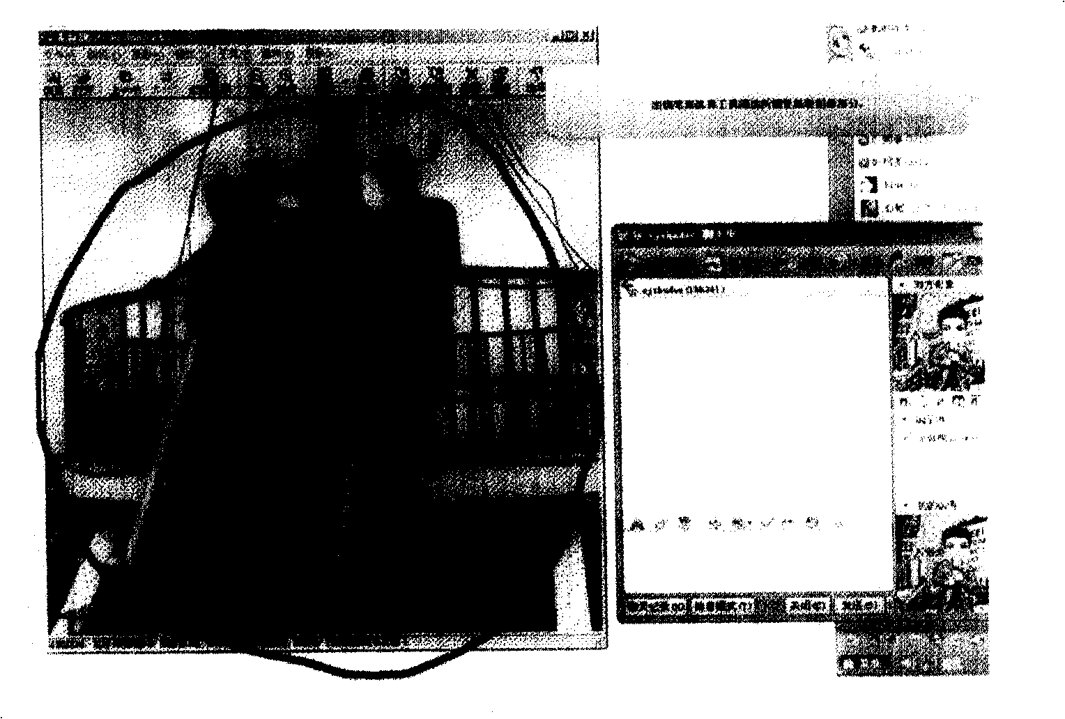 Method for capturing picture, capturer and instant-telecommunication customer terminal