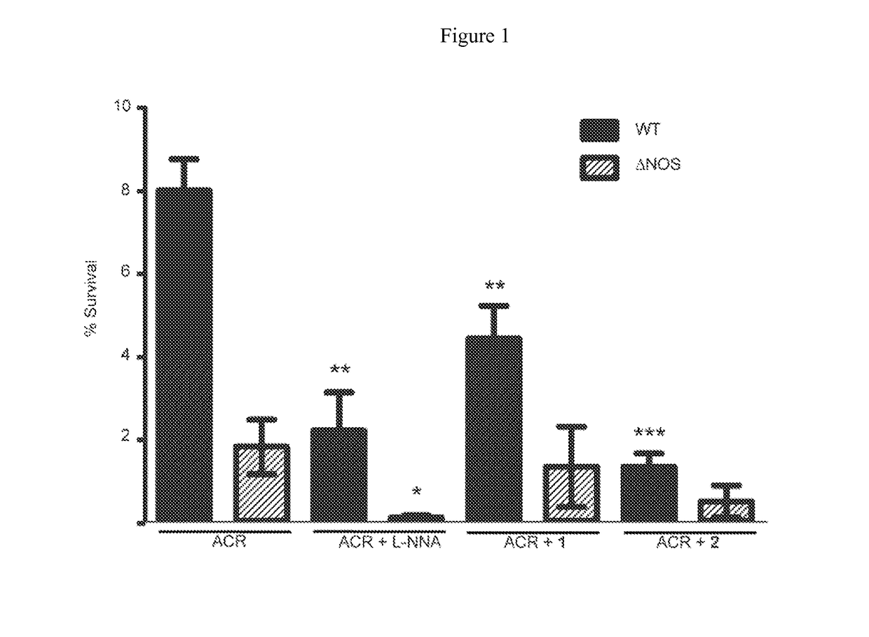 Mammalian and Bacterial Nitric Oxide Synthase Inhibitors