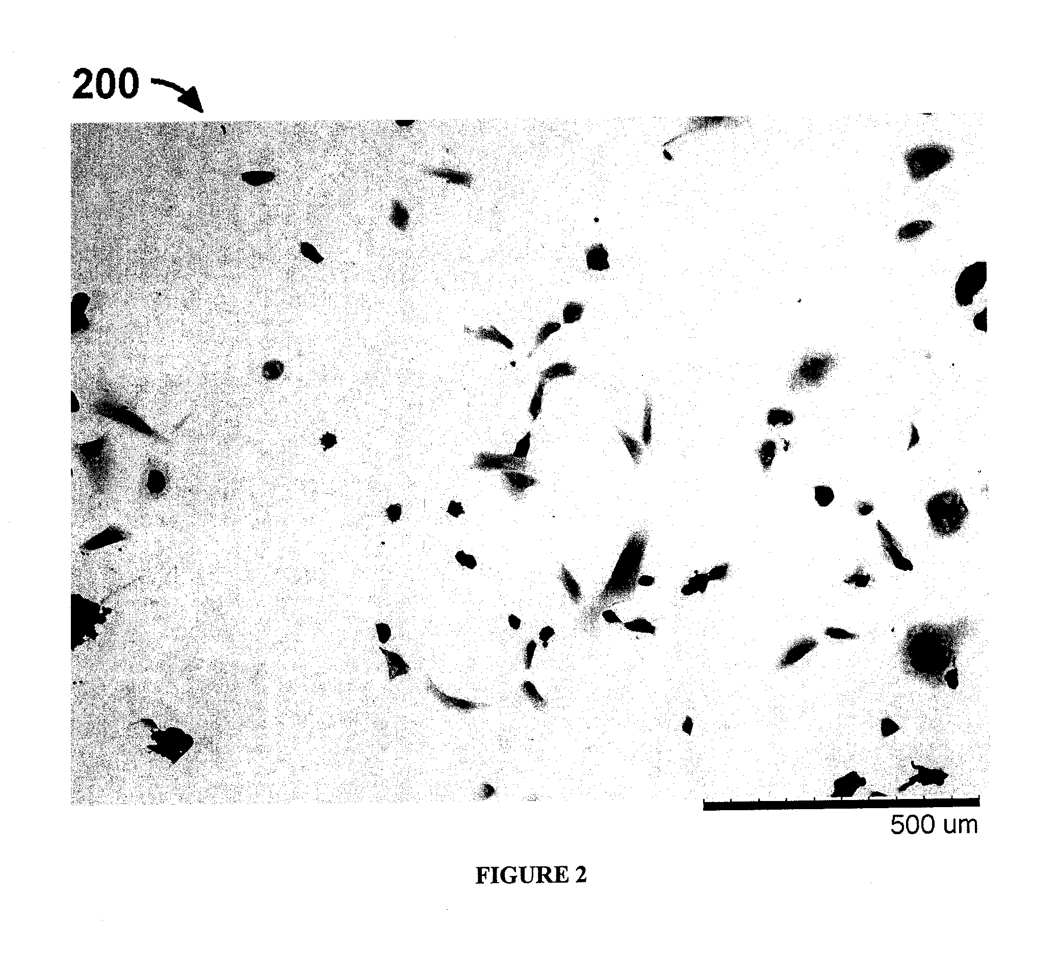 Methods for improving the bioactivity characteristics of a surface and objects with surfaces improved thereby