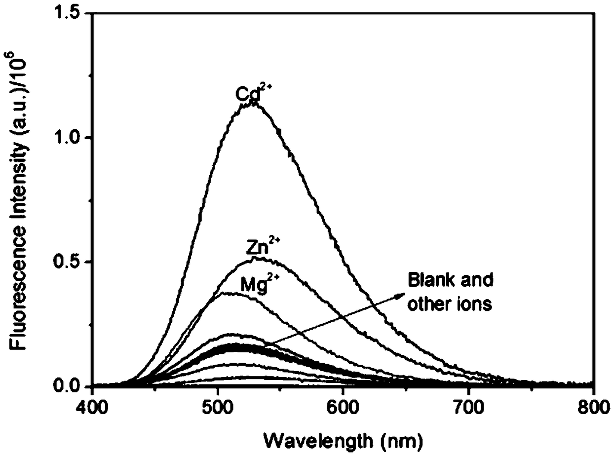 Fluorescent probe and preparation and application thereof