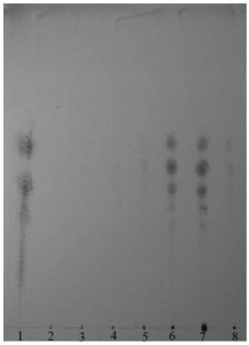 Paenibacillus sp. strain HB172198 and applications thereof