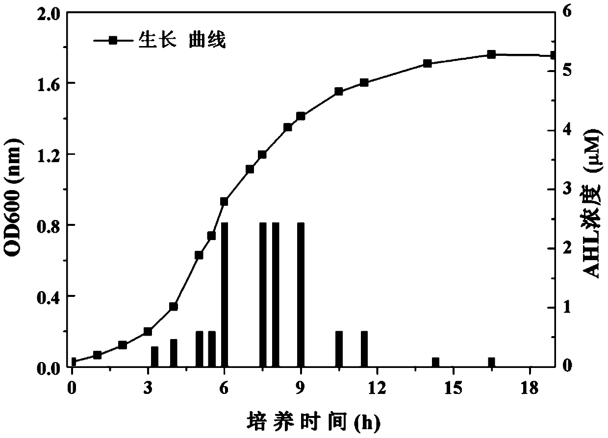 A method for determining the content of total acyl homoserine lactone (ahl) and its application