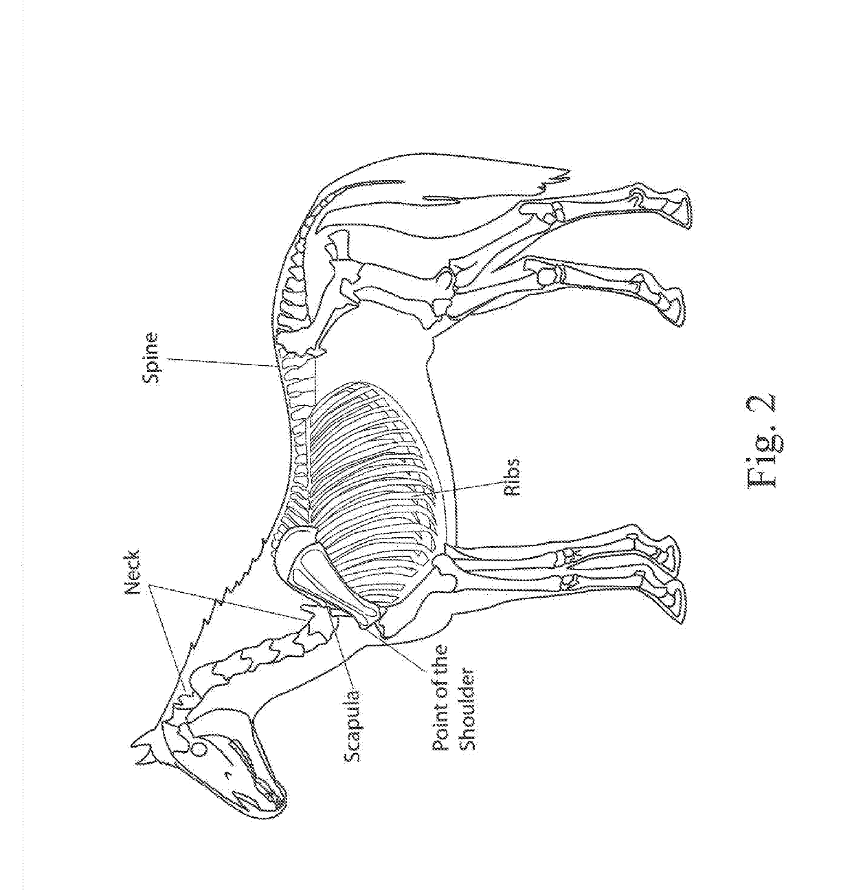 Equine yoke closure device and adjustable blanket system