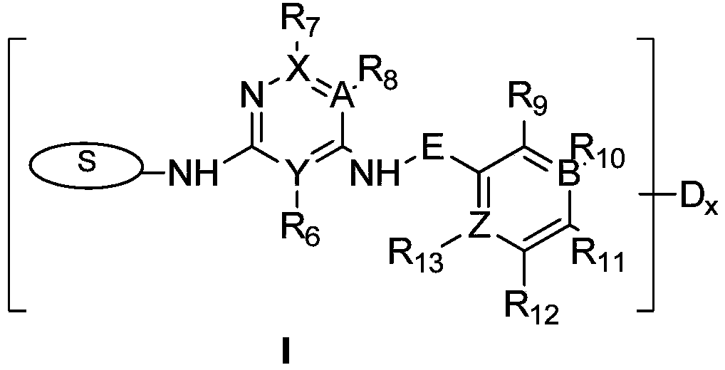 FAK inhibitor and combined medicine thereof