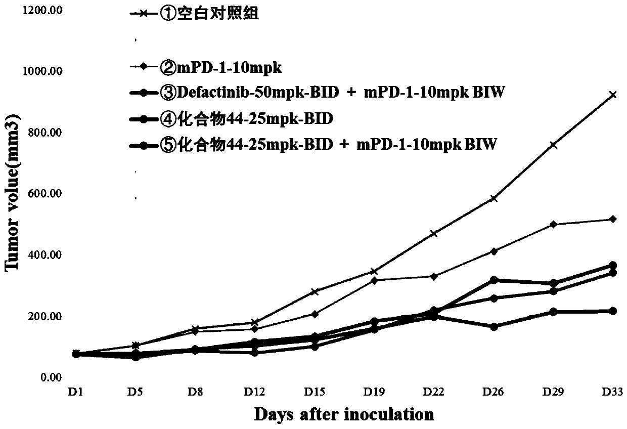 FAK inhibitor and combined medicine thereof