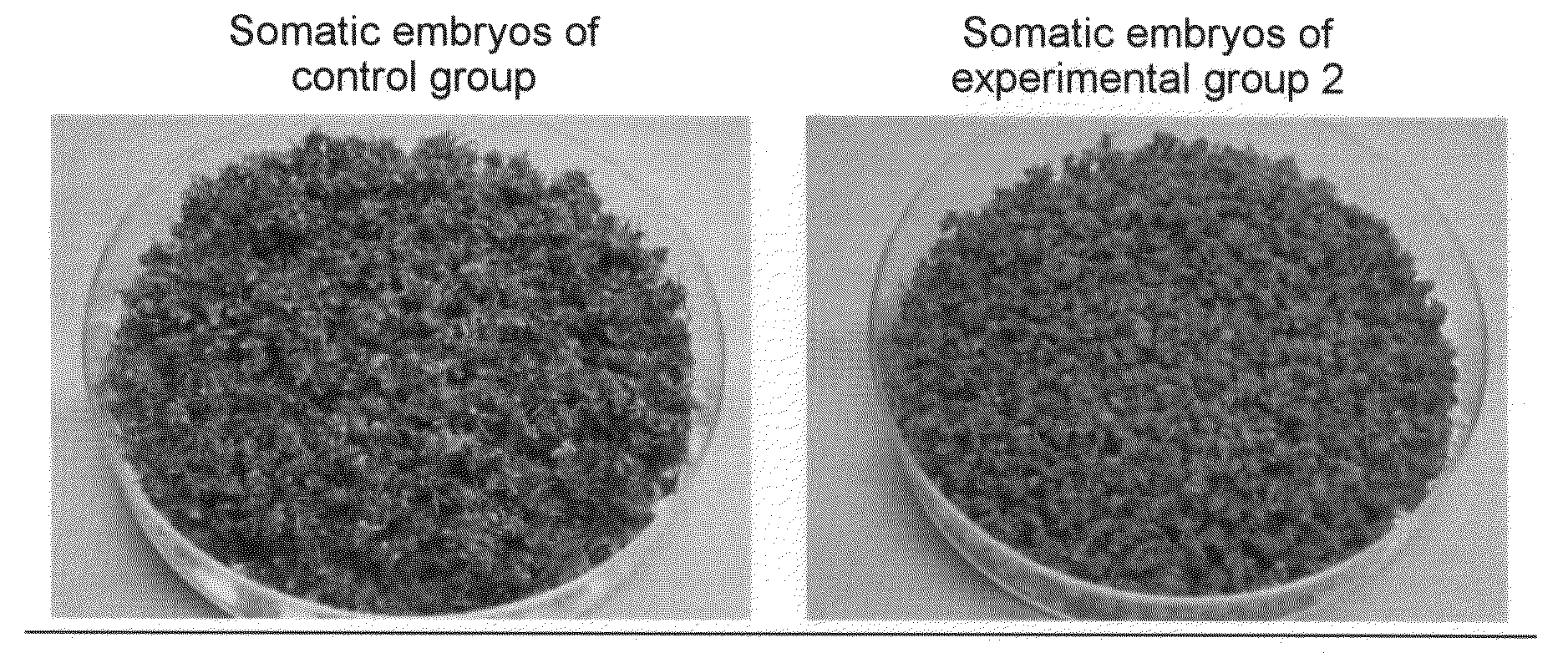 Method for Propagation of Plant