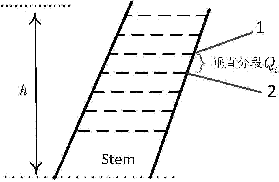 Laser point cloud data-based trunk volume acquiring method