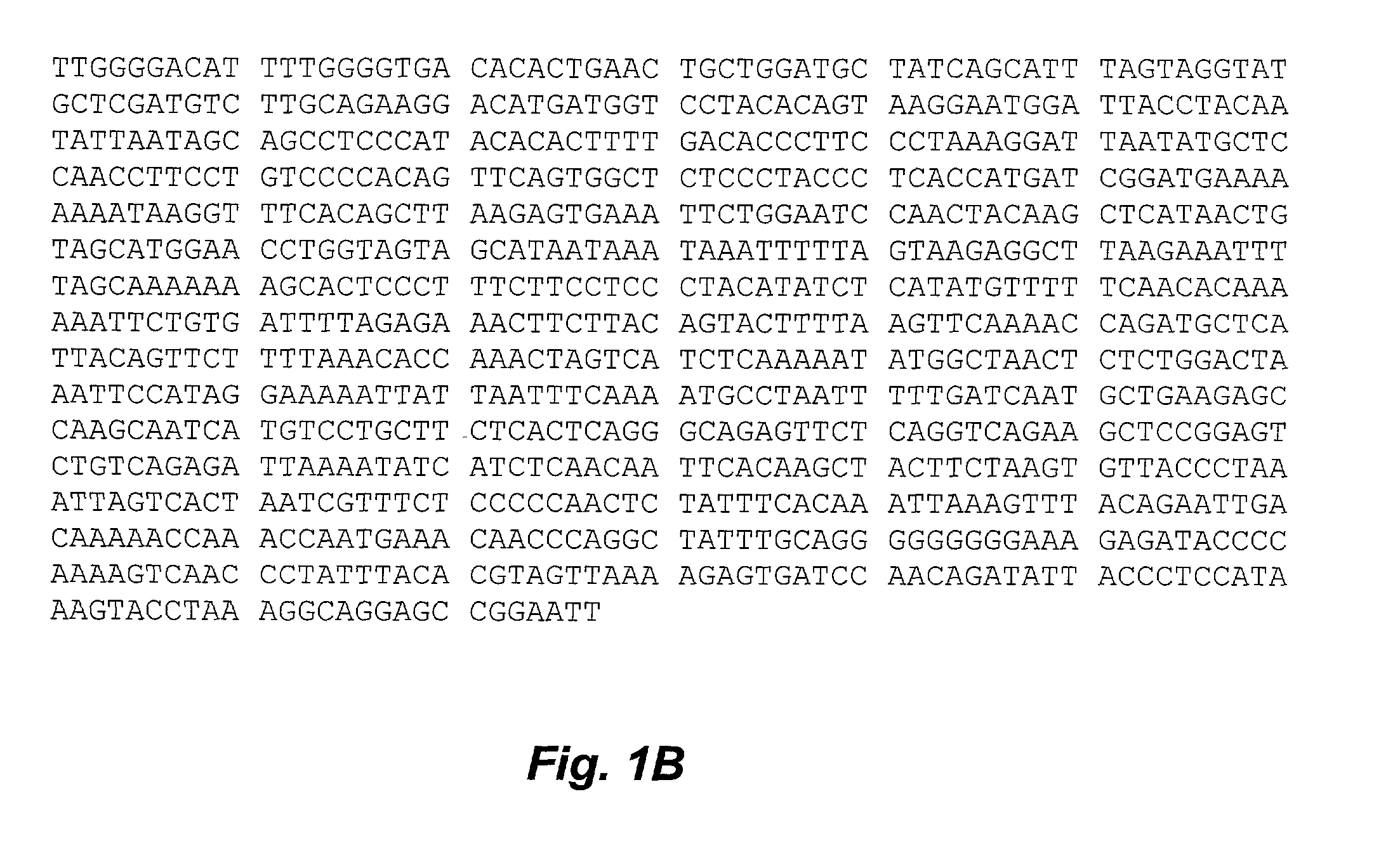 Methods and use of motoneuronotrophic factors