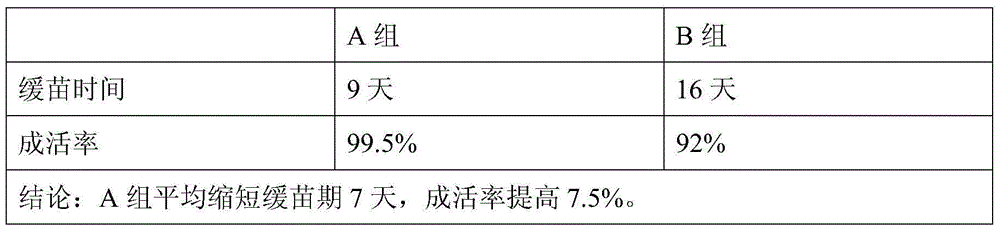 Root soaking agent recipe and application thereof to strawberry transplanting