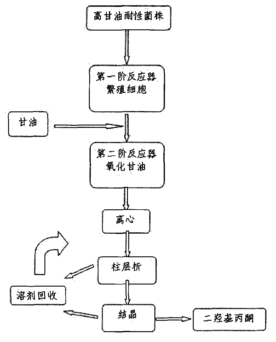 Method for producing dihydroxyacetone by converting glycerin by virtue of biological fermentation process