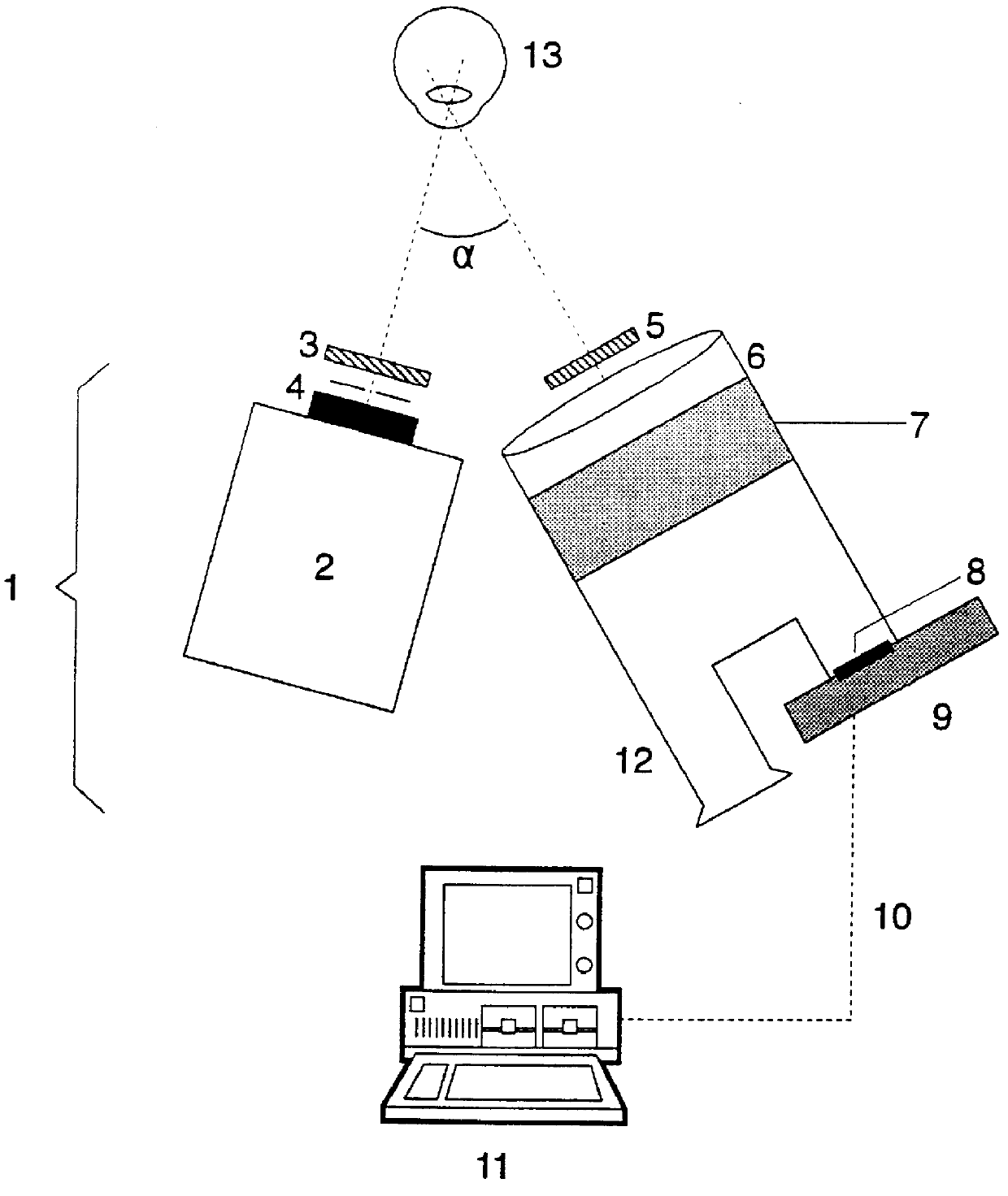 Ocular fluorometer