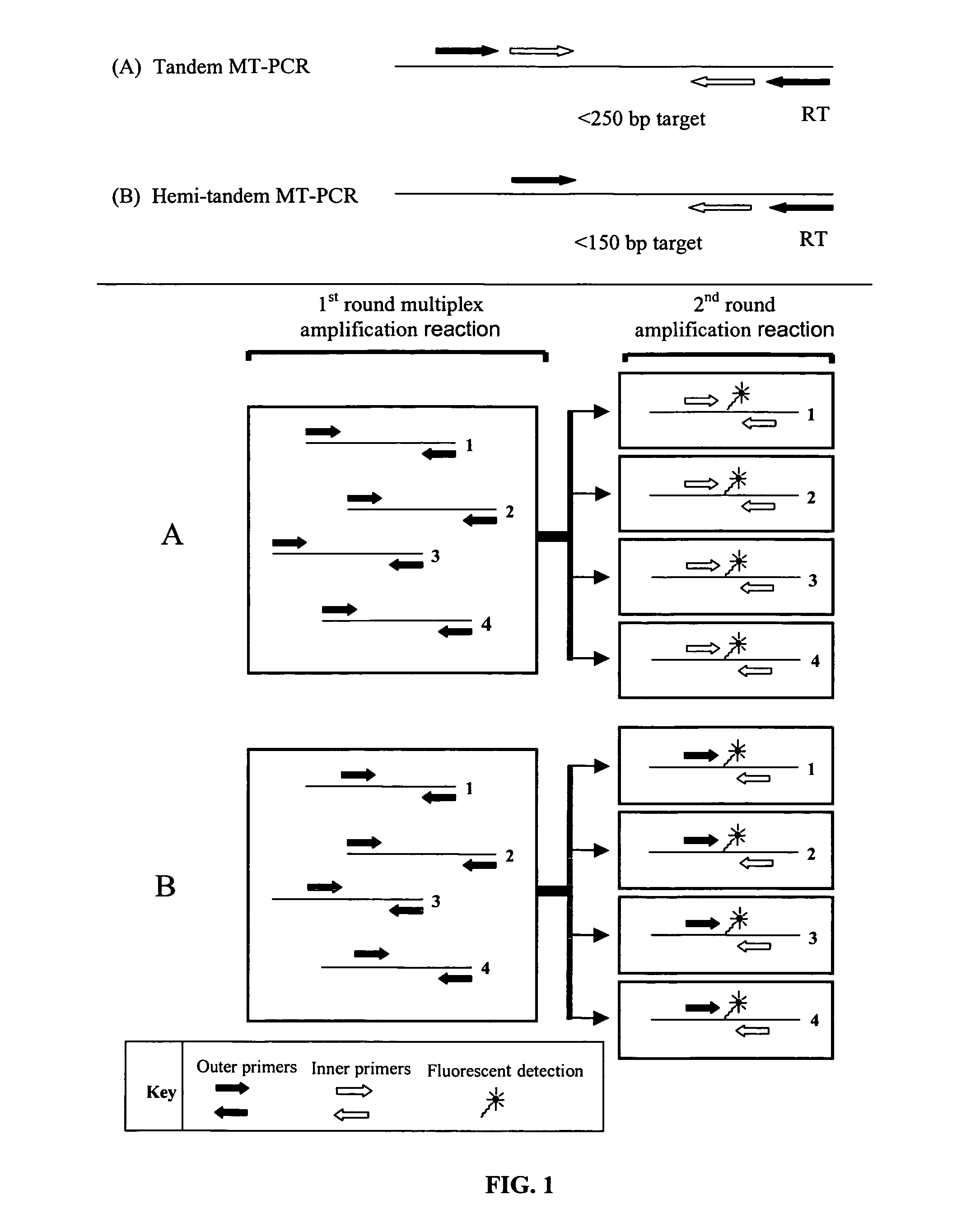 Methods for the amplification, quantitation and identification of nucleic