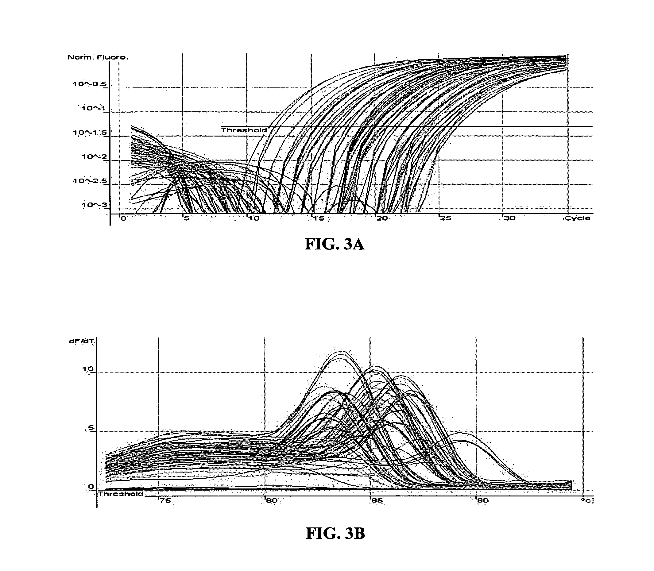 Methods for the amplification, quantitation and identification of nucleic