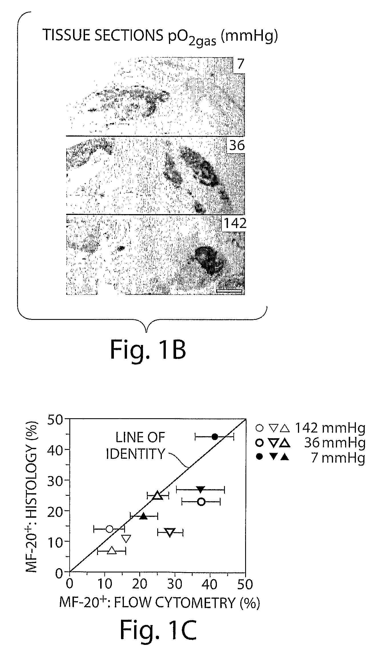 Methods and compositions for enhanced differentiation from embryonic stem cells