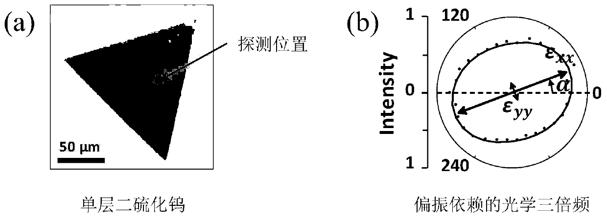 Device and method for measuring strain tensor of two-dimensional material based on optical third harmonic generation