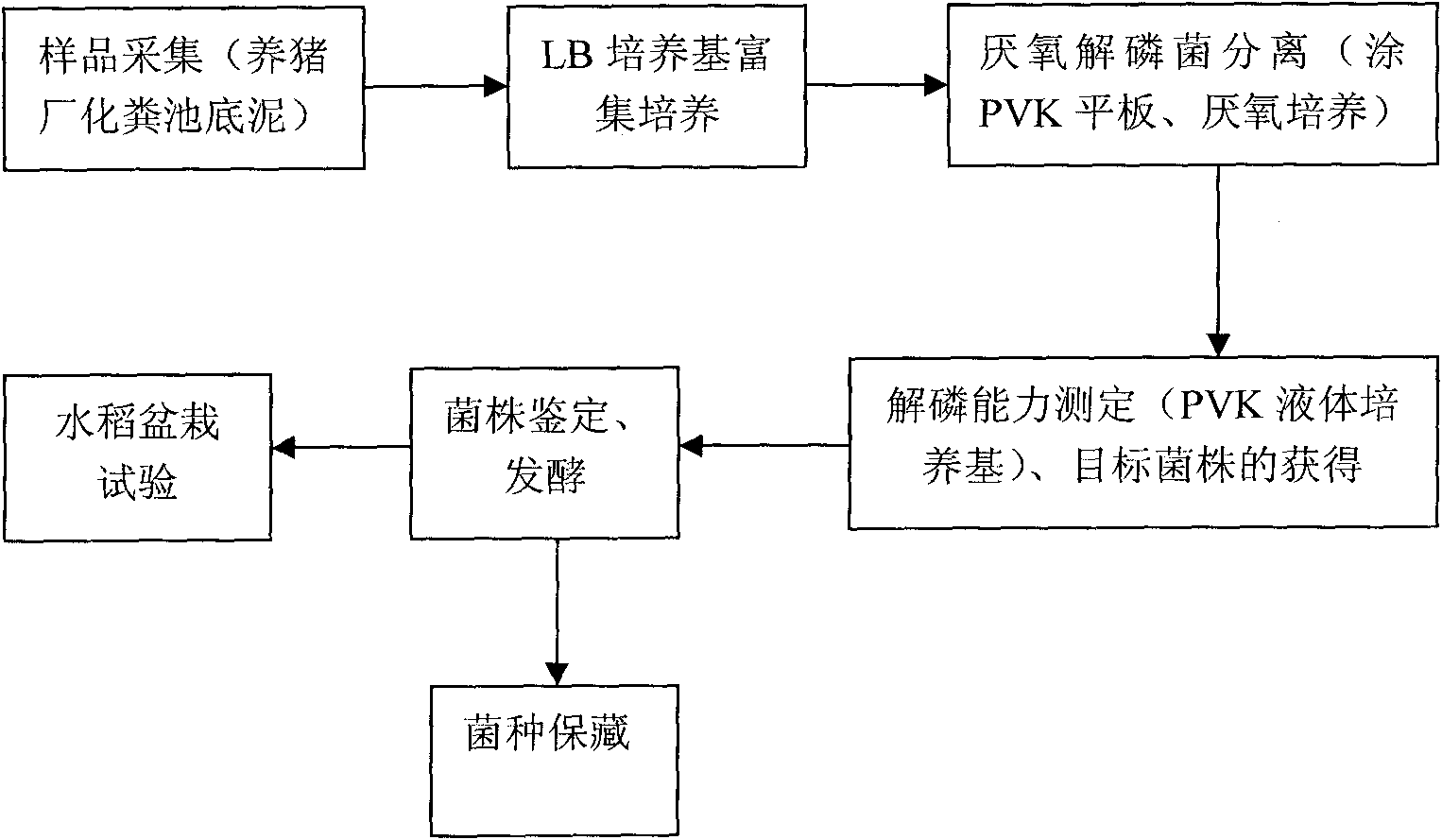 High-efficiency phosphate-solubilizing Clostridium butyricum A5-4 and applications